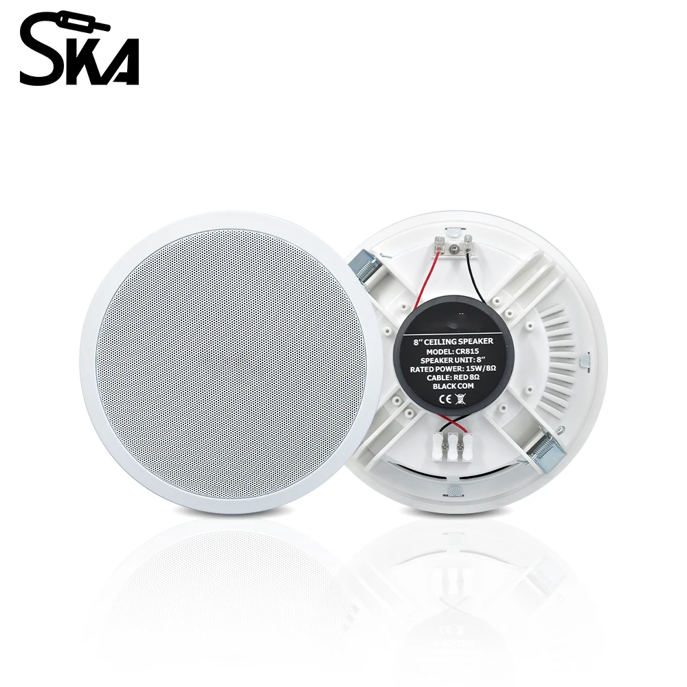 PW4420T+CR815 Akıllı Ev Ses Si - Audio Music System For Home incelemesi ve fiyatı