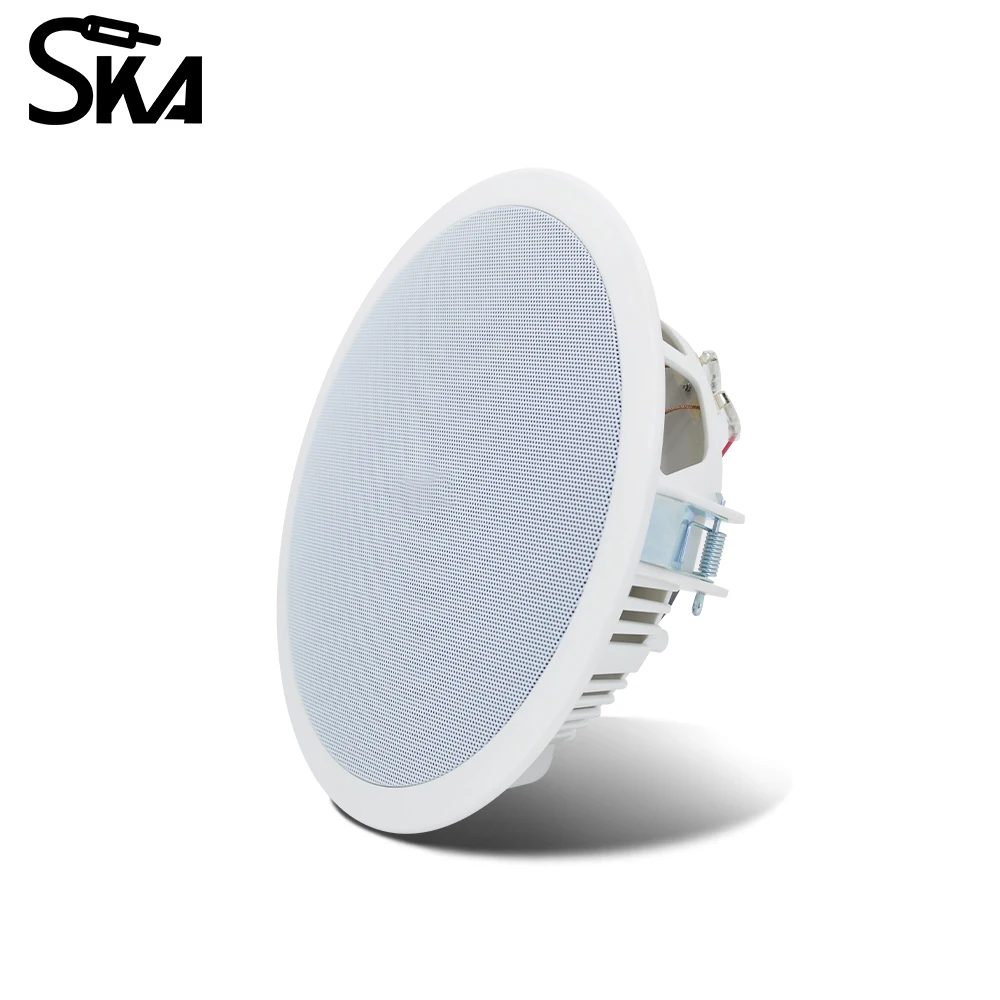 PW4420T+CR815 Akıllı Ev Ses Si - Audio Music System For Home incelemesi ve fiyatı